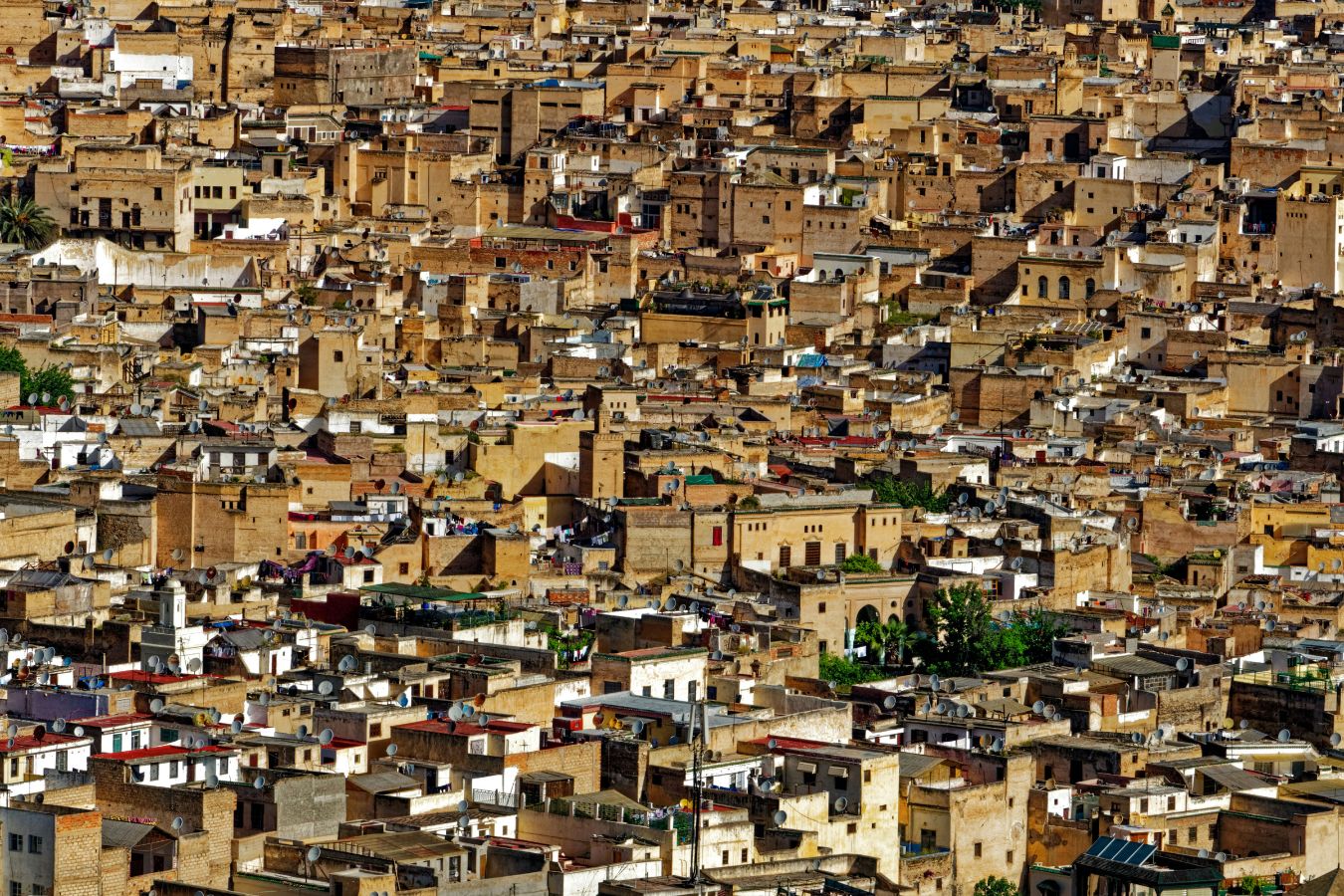 Aerial view of the dense architecture of the Old Medina in Fez, Morocco.