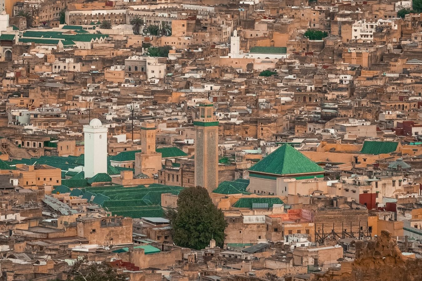 You are currently viewing The Spiritual Heart of Fez: Mosques and Zawiyas