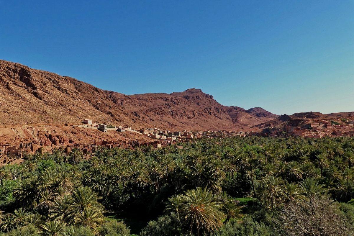 Palm grove oasis bordered by red mountains and traditional Amazigh village houses in Morocco.