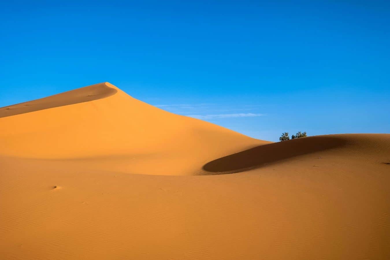 Read more about the article Merzouga or Zagora: How to Choose?