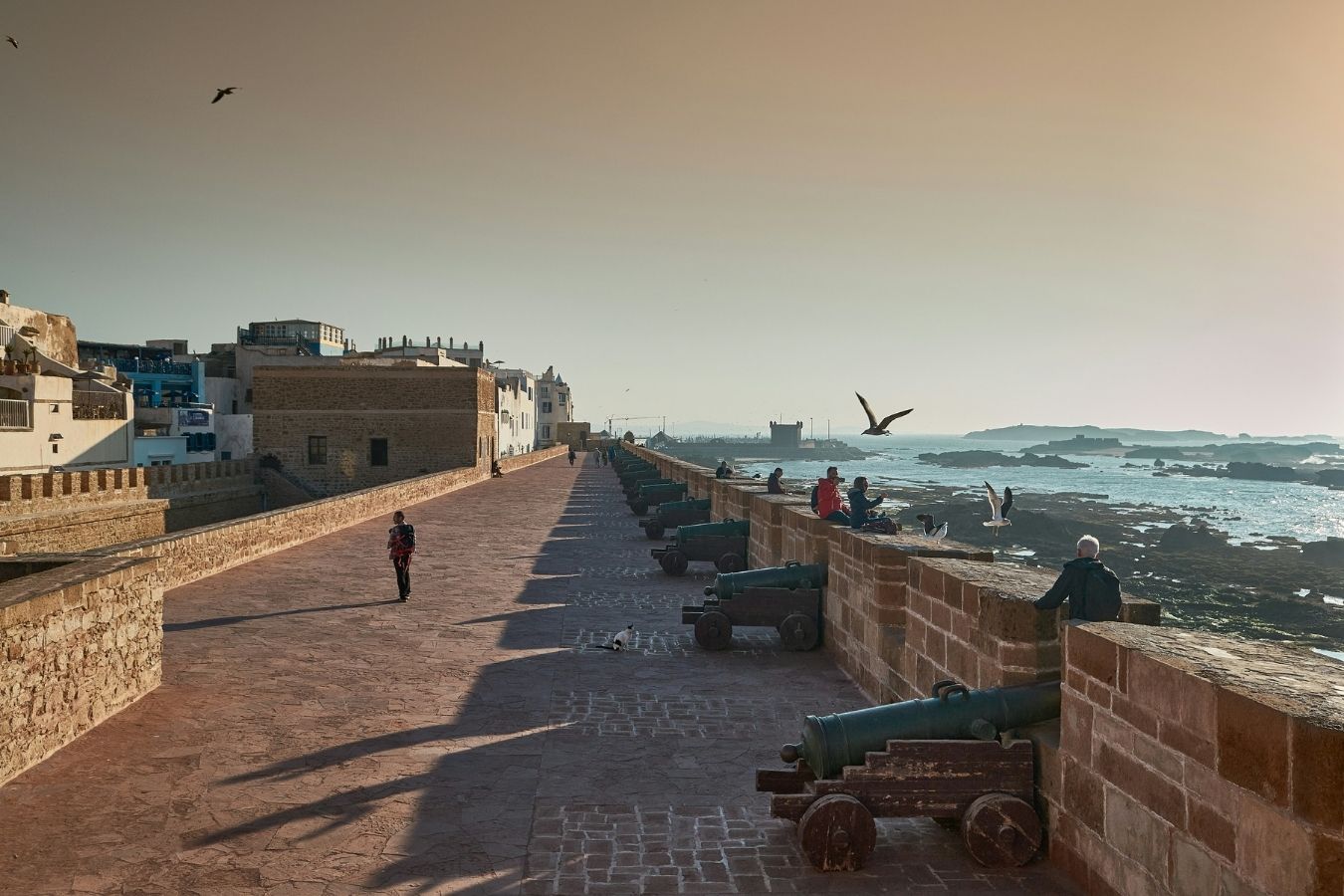 Read more about the article The Soul of Essaouira: Music, Art, and Sea